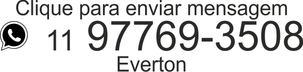 Clique para enviar uma mensagem para o Everton